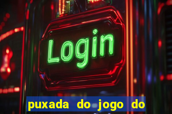 puxada do jogo do bicho da sueli